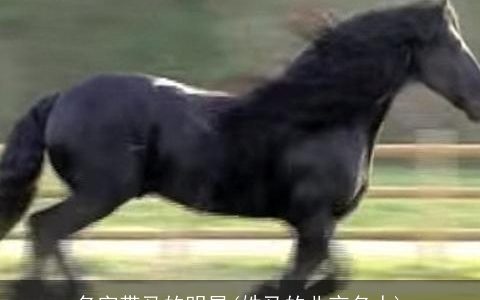 名字带马的明星(姓马的北京名人)