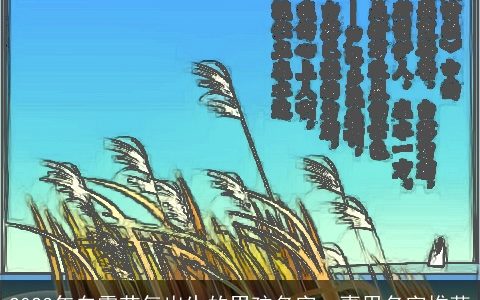 2023年白露节气出生的男孩名字  喜用名字推荐