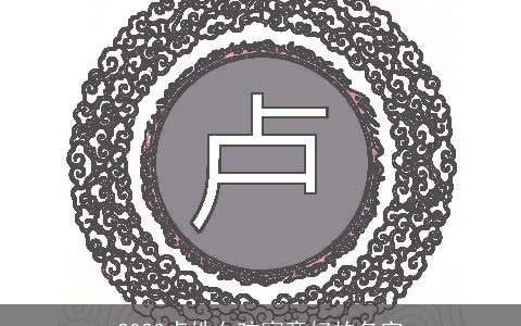 2024卢姓女孩寓意好的名字