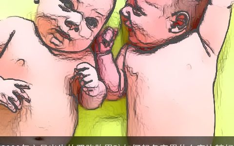 2023年六月出生的双胞胎男孩如何起名字用什么字比较好