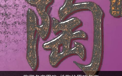 陶取名字男孩 姓陶的男孩名字