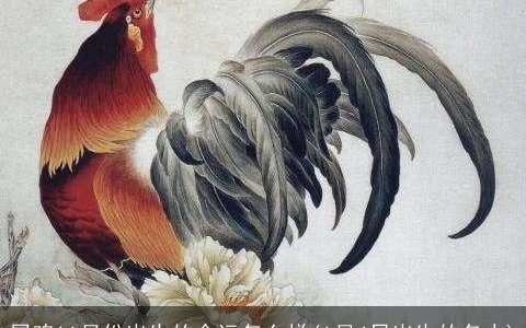 属鸡11月份出生的命运怎么样(1月4日出生的名人)