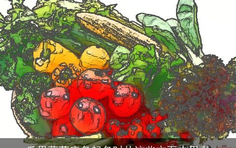 瓜果蔬菜店名起名时从这些方面去思考