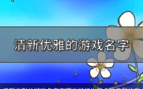 清新幽默的游戏名字有哪些妈妈生了个限量版的我