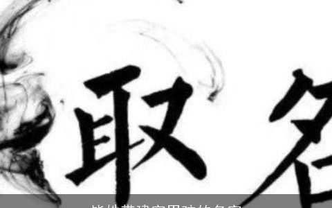 毕姓带建字男孩的名字