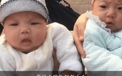 于姓龙凤胎起名大全