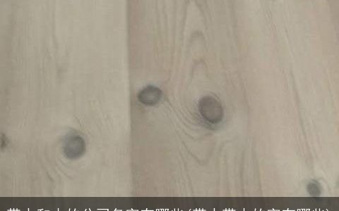 带水和木的公司名字有哪些(带水带木的字有哪些)