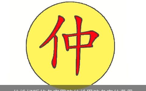 仲姓好听的名字男孩仲姓男孩名字仲慕恩