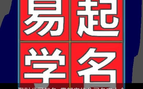 聚财公司起名 带郎字的公司名字大全