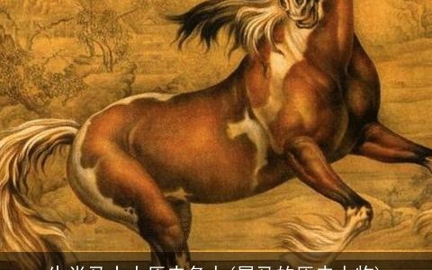 生肖马十大历史名人(属马的历史人物)