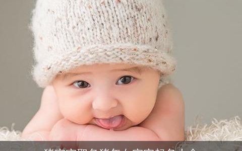 猪宝宝取名猪年女宝宝起名大全