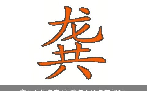 龚开头的名字(姓龚怎么取名字好听)