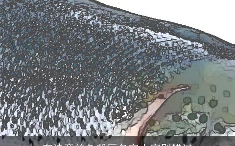 有诗意的鱼餐厅名字大家别错过