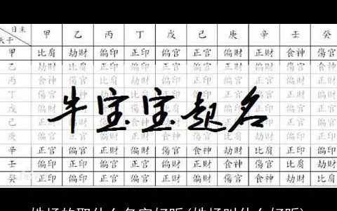 姓杨的取什么名字好听(姓杨叫什么好听)