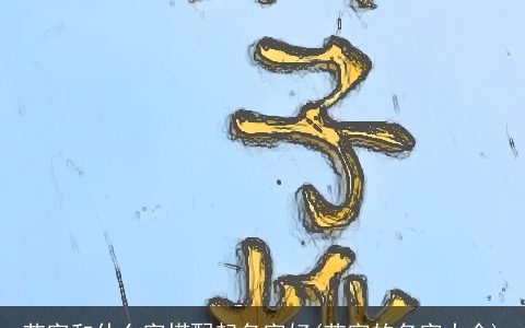 艺字和什么字搭配起名字好(艺字的名字大全)
