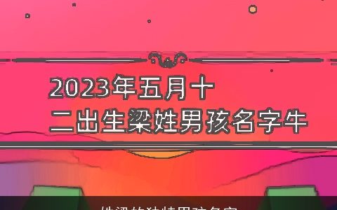 姓梁的独特男孩名字