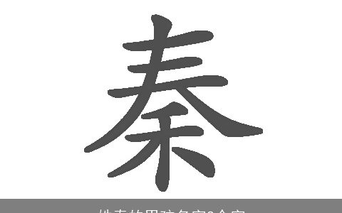 姓秦的男孩名字2个字