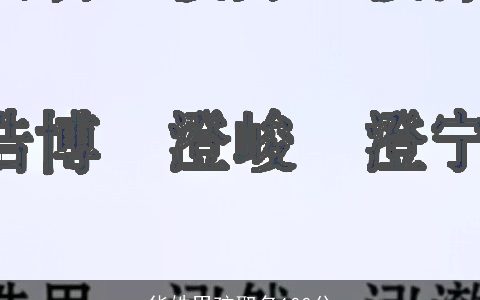 华姓男孩取名100分