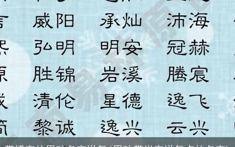 带博字的男孩名字洋气(男孩带米字洋气点的名字)