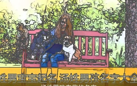 汤姓男孩有趣的名字