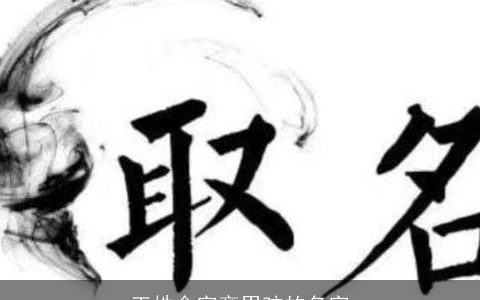 王姓金字旁男孩的名字