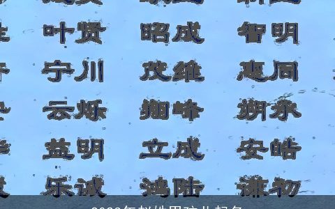 2023年赵姓男孩儿起名