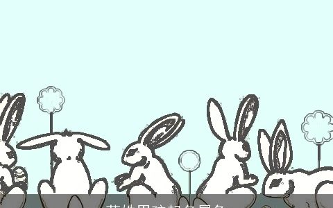 苟姓男孩起名属兔