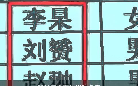 2023年姓万的男孩名字