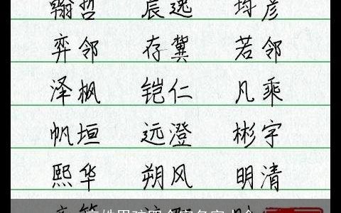辛姓男孩四个字名字大全
