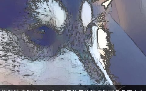 撒狗粮情侣网名大全 霸气帅气的狗情侣网名名字大全