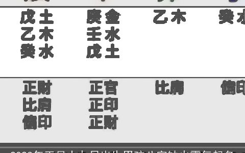 2023年正月十九日出生男孩八字缺火霸气起名