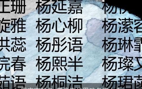 男宝宝起名 带豪字的男孩名字大全