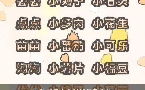 男孩取名大全2022最新版的