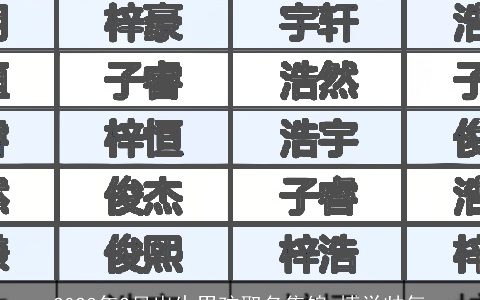 2023年2月出生男孩取名集锦 博学帅气