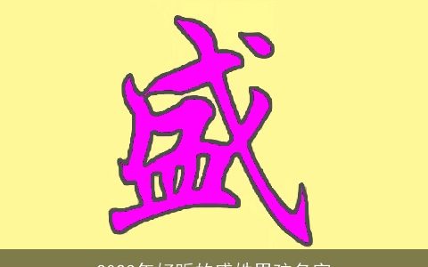 2024年好听的盛姓男孩名字