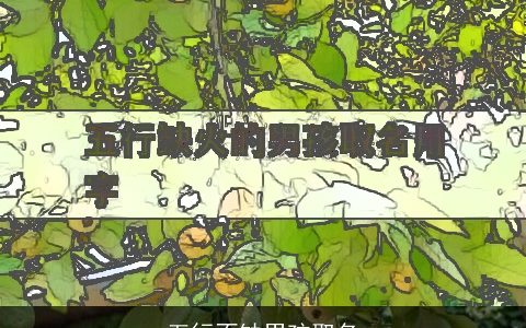 五行不缺男孩取名