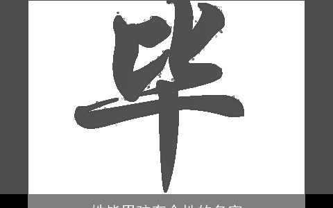姓毕男孩有个性的名字