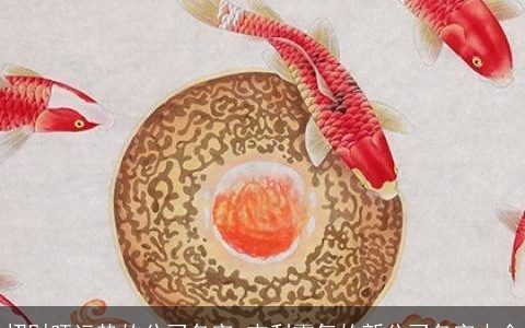 招财旺运势的公司名字 吉利霸气的新公司名字大全