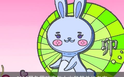 2023属兔男孩豪气大方又简单的名字