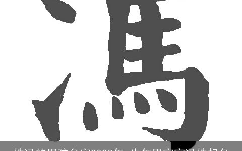 姓冯的男孩名字2024年 牛年男宝宝冯姓起名