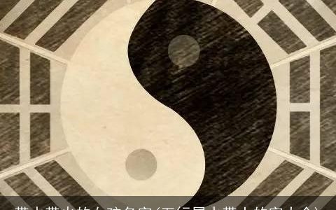 带水带火的女孩名字(五行属水带土的字大全)