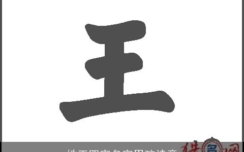 姓王四字名字男孩诗意
