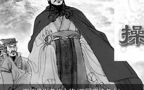 崔姓最出名的人物(三国崔姓名人)