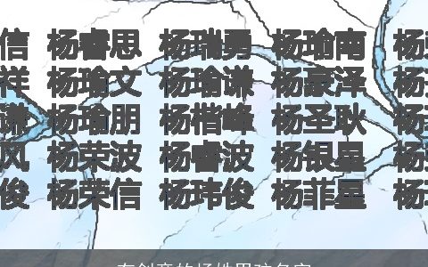 有创意的杨姓男孩名字