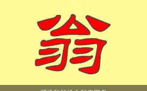 郑姓和翁姓合起来取名