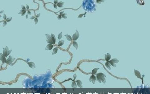 2023带宇字男孩名字(男孩带宇的名字有哪些)