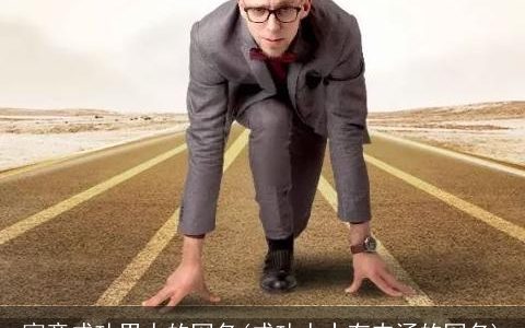 寓意成功男人的网名(成功人士有内涵的网名)