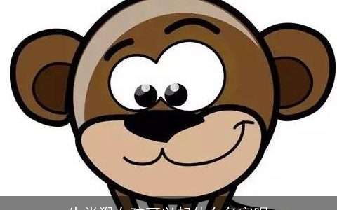 生肖猴女孩可以起什么名字呢