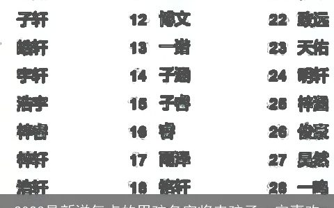 2024最新洋气点的男孩名字将来孩子一定喜欢