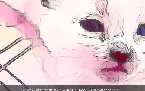带猫的微信女生昵称简短好听有猫字的软萌网名大全 2024吉祥好听的带猫字微信女生昵称网名名字最新